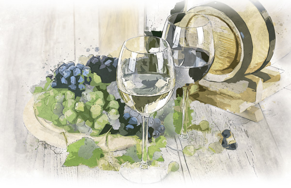 Featured image for Vendemmia